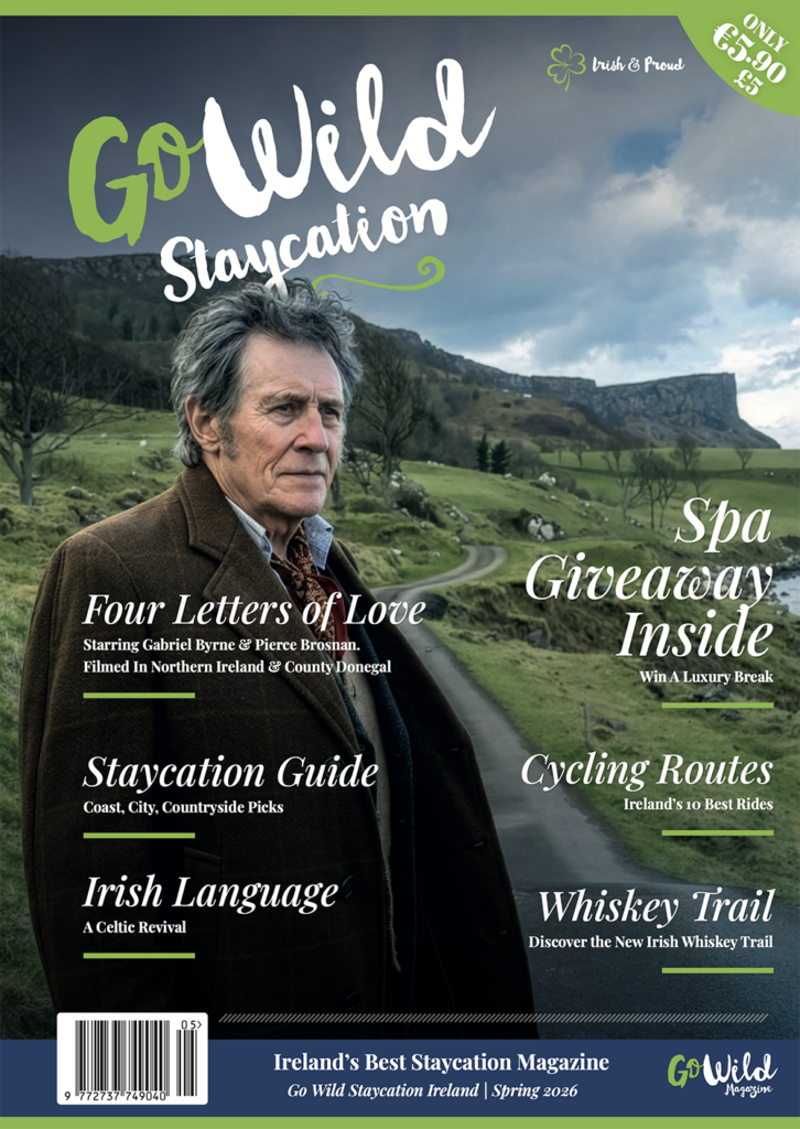 Go Wild Staycation magazine