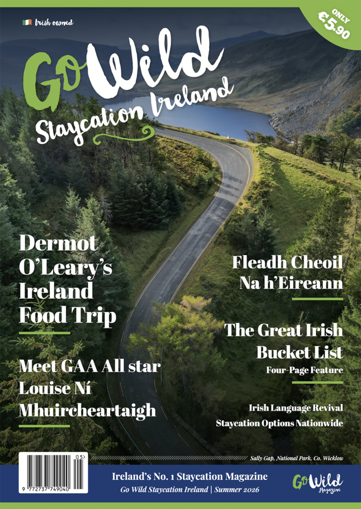 Go Wild Staycation magazine Summer